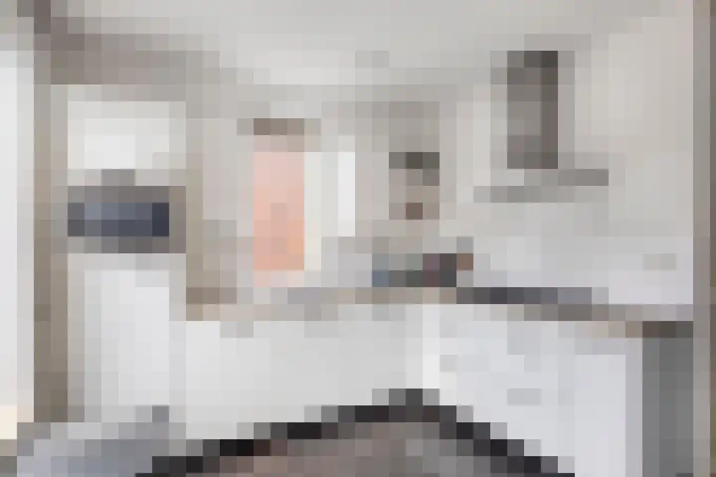 Het Reut 310 Berghem thumbnail 8