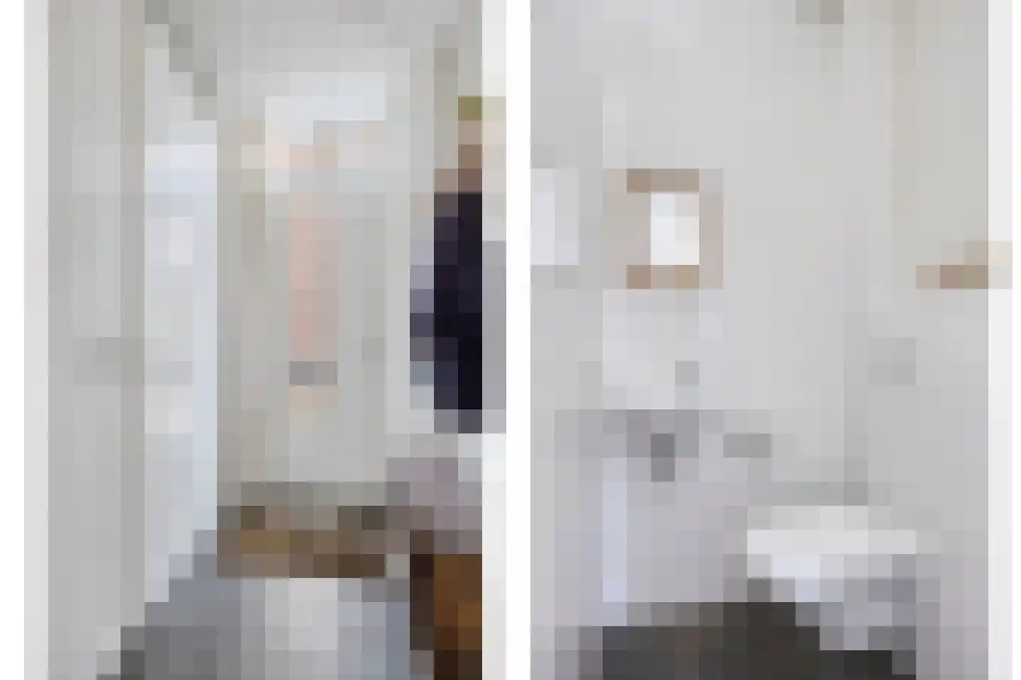 Het Reut 310 Berghem thumbnail 9