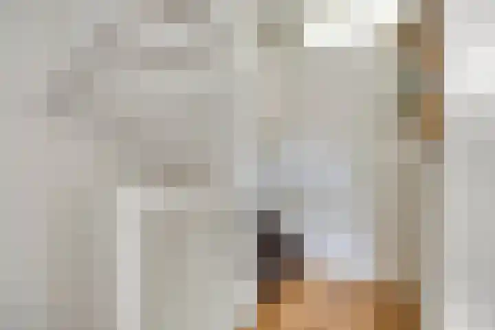 Het Reut 416 Berghem thumbnail 10