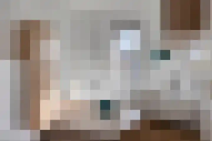 Het Reut 416 Berghem thumbnail 11