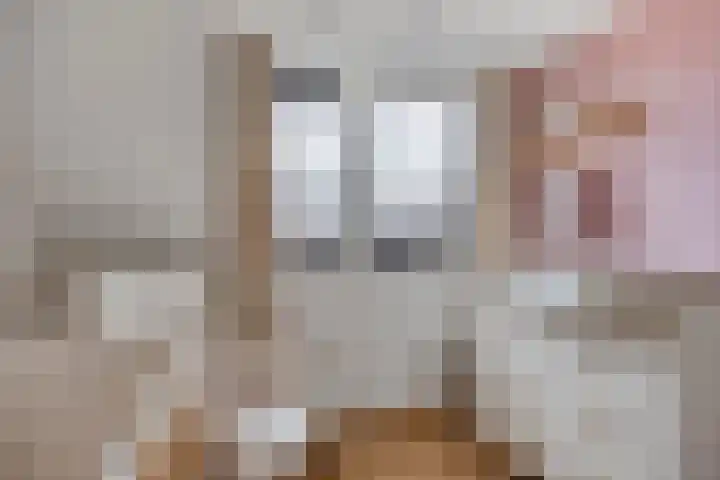 Het Reut 416 Berghem thumbnail 17