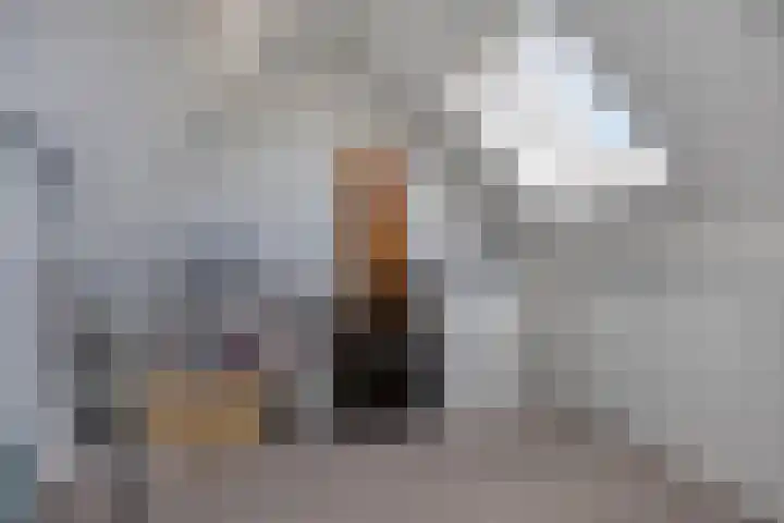 Het Reut 416 Berghem thumbnail 19