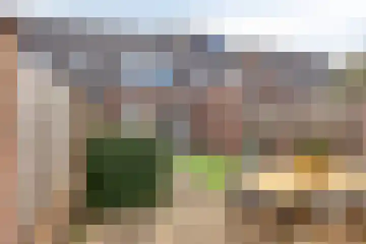 Het Reut 416 Berghem thumbnail 20