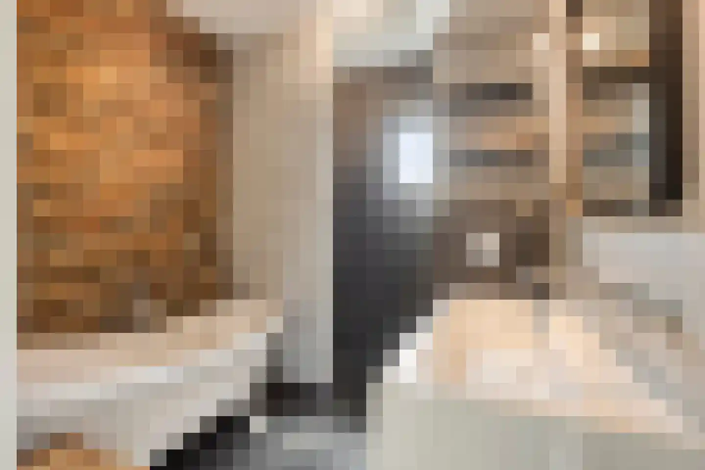 Het Reut 500 Berghem thumbnail 18
