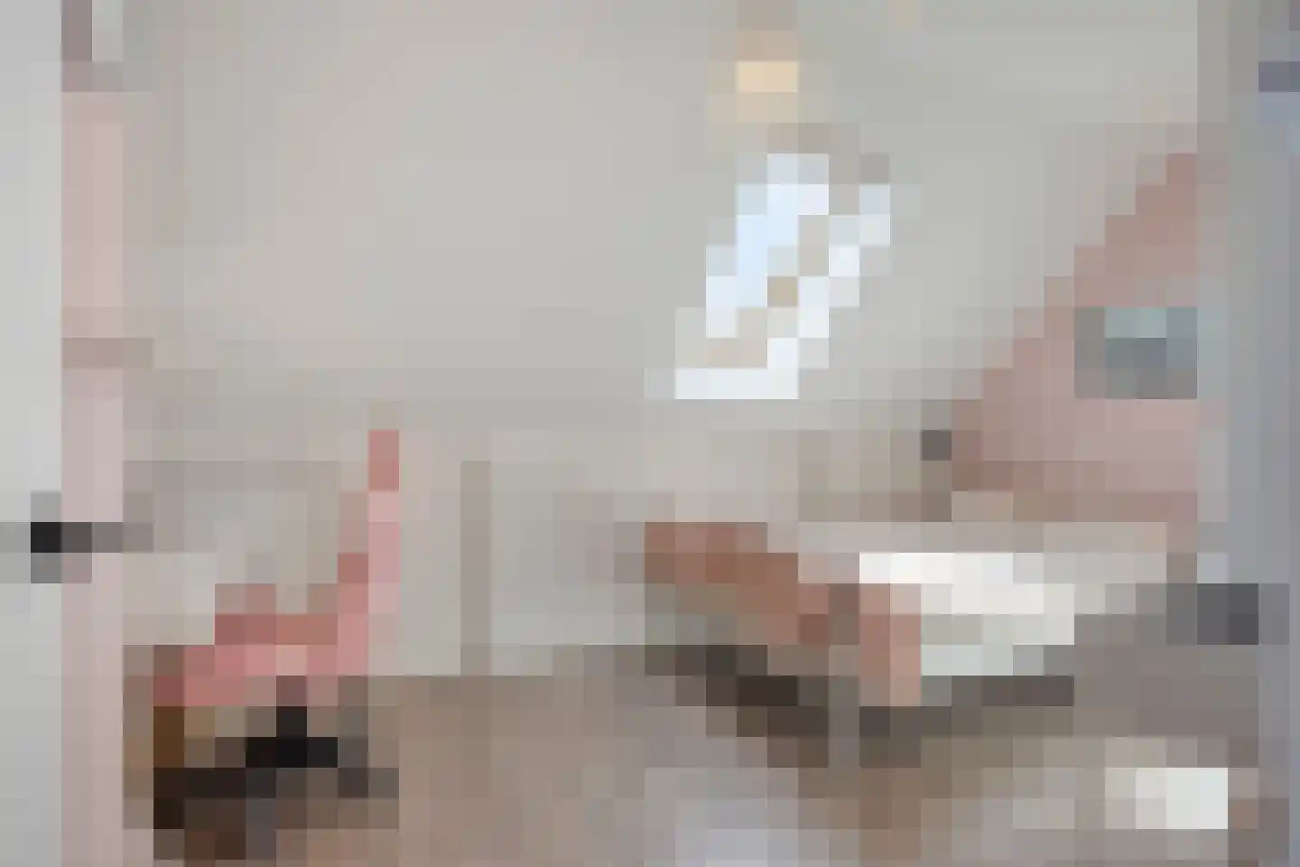 Het Reut 500 Berghem thumbnail 23