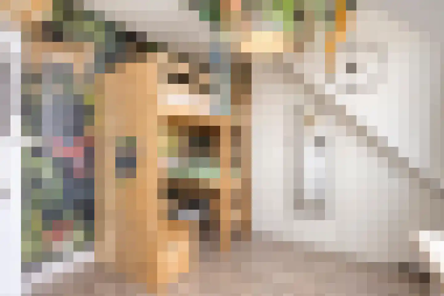 Het Reut 500 Berghem thumbnail 24