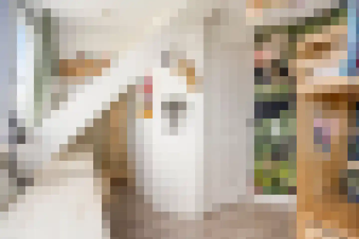 Het Reut 500 Berghem thumbnail 25
