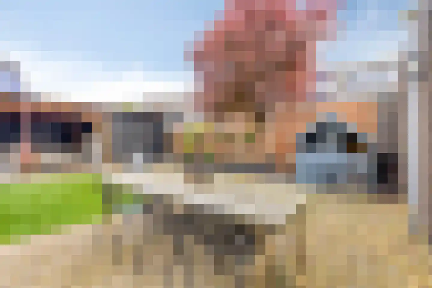 Het Reut 500 Berghem thumbnail 28
