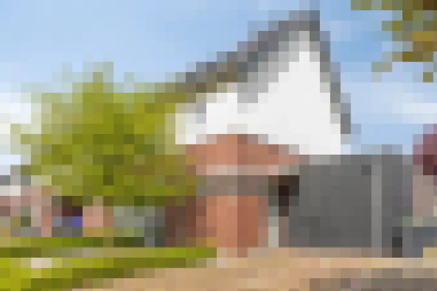 Het Reut 500 Berghem thumbnail 31