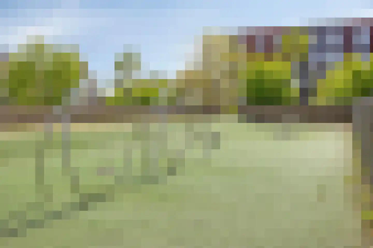 Het Reut 500 Berghem thumbnail 36