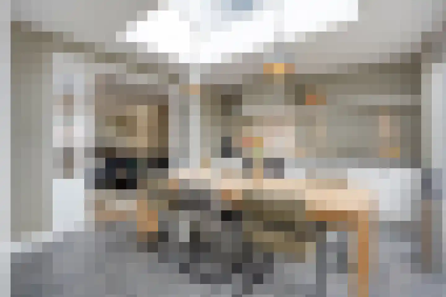 Het Reut 500 Berghem thumbnail 4