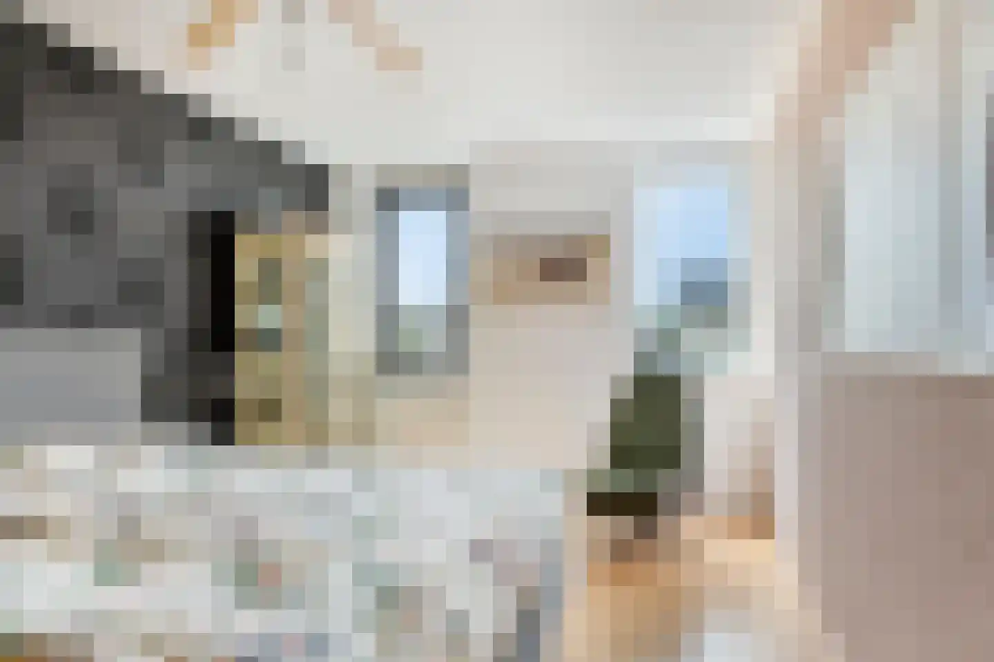 Het Rieteiland 9 Zutphen thumbnail 14