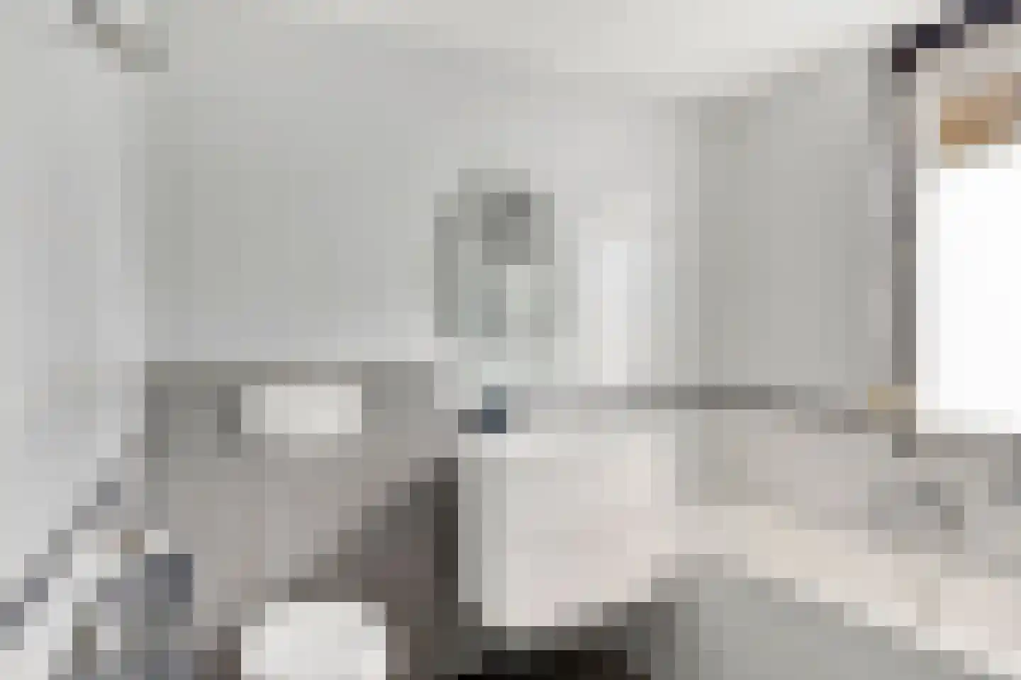 Het Rieteiland 9 Zutphen thumbnail 16