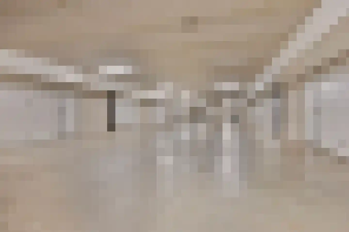Het Rieteiland 9 Zutphen thumbnail 22