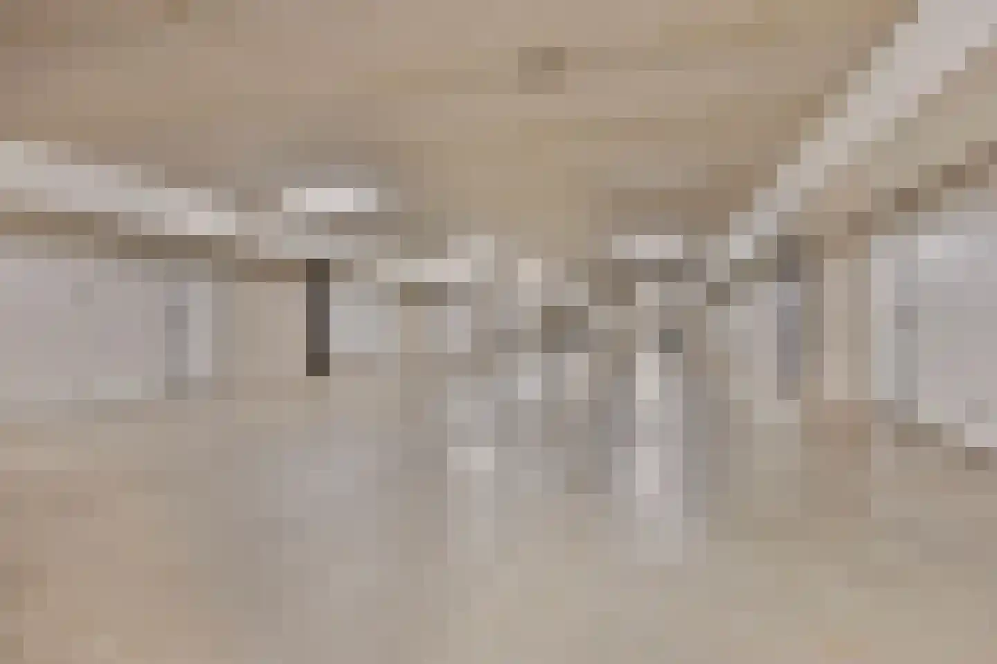 Het Rieteiland 9 Zutphen thumbnail 22