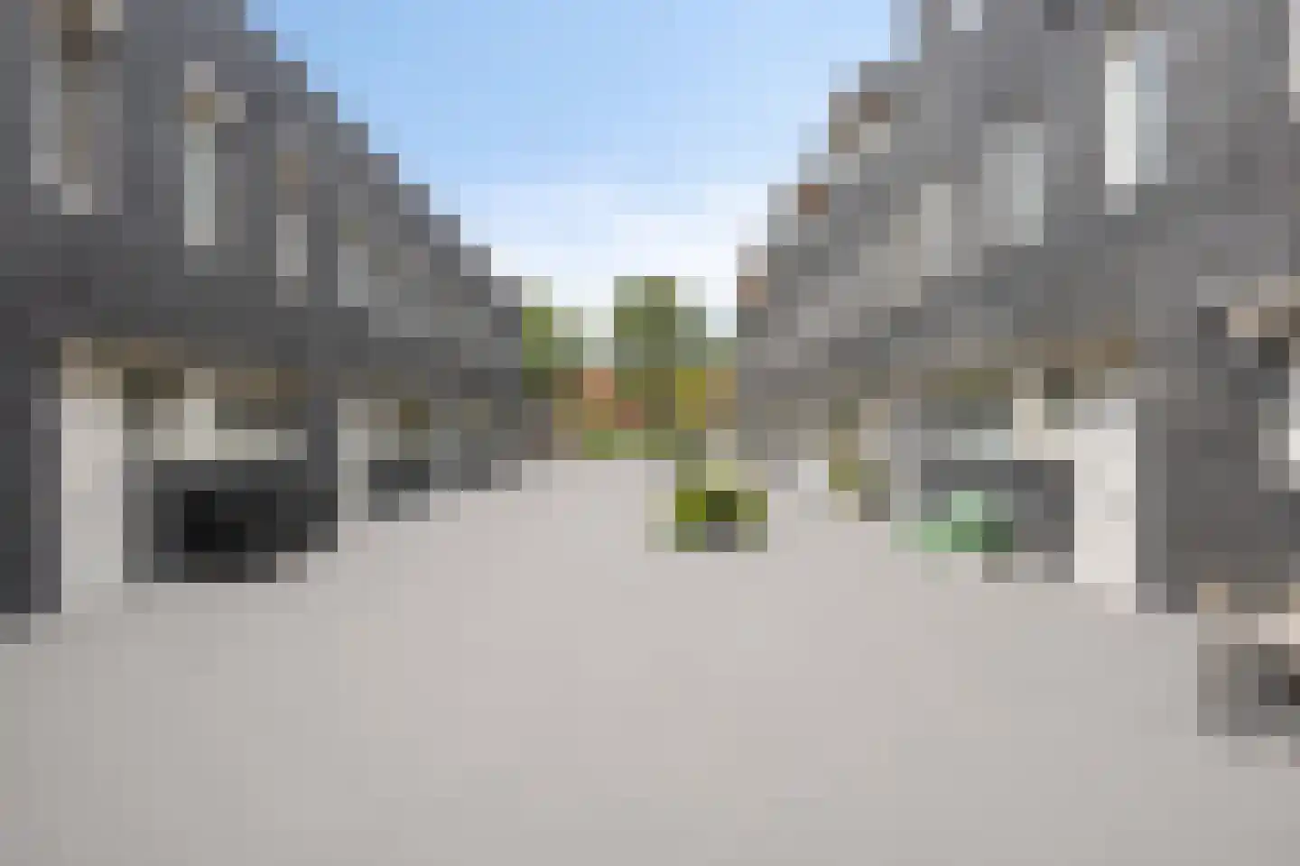 Het Rieteiland 9 Zutphen thumbnail 24
