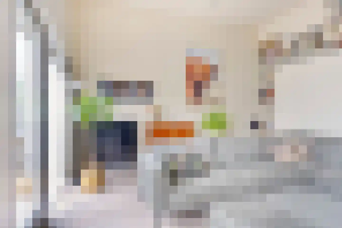 Het Rieteiland 9 Zutphen thumbnail 5