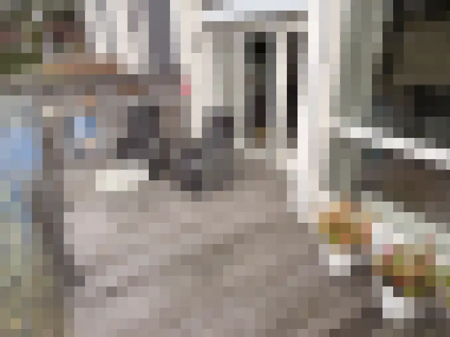 Het Rieteiland 9 Zutphen thumbnail 6