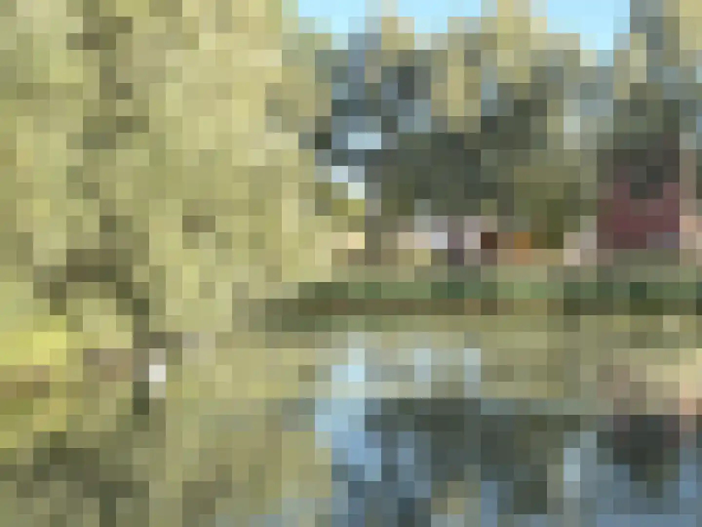 Het Rieteiland 9 Zutphen thumbnail 8