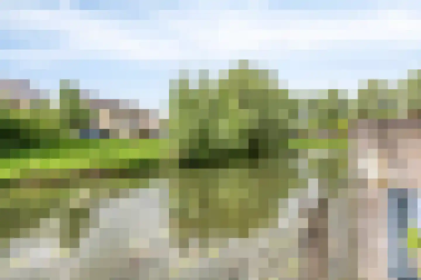 Het Rieteiland 9 Zutphen thumbnail 8