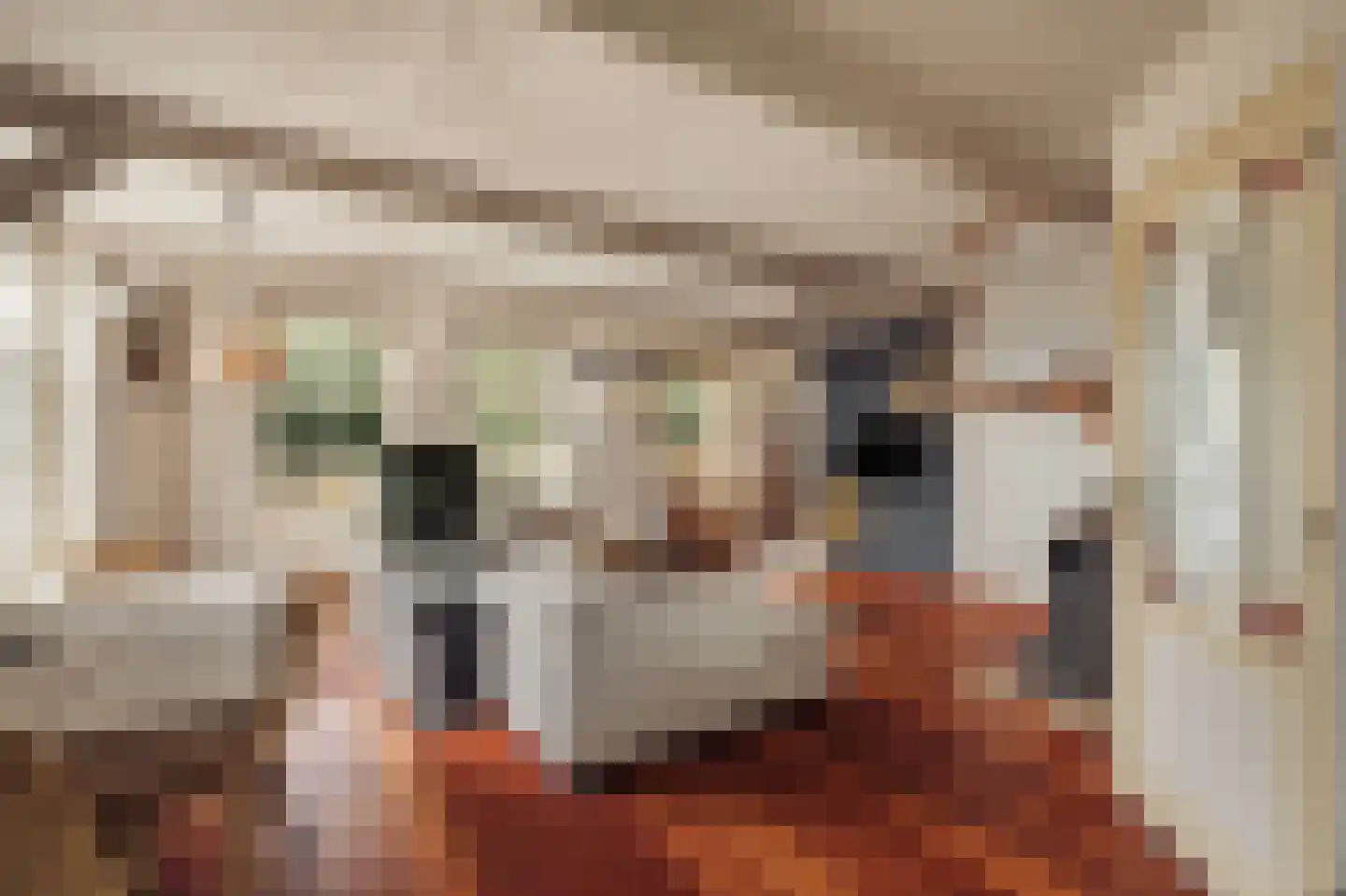 Het Rietland 1 Marken thumbnail 12