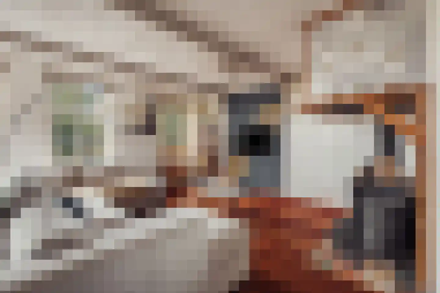 Het Rietland 1 Marken thumbnail 13
