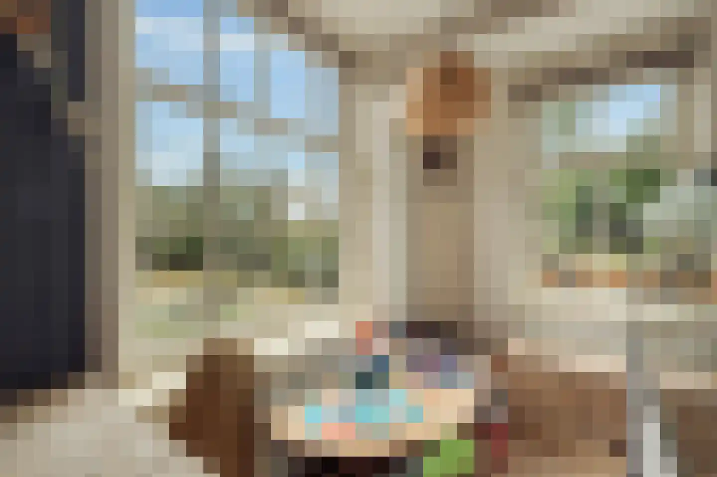 Het Rietland 1 Marken thumbnail 14