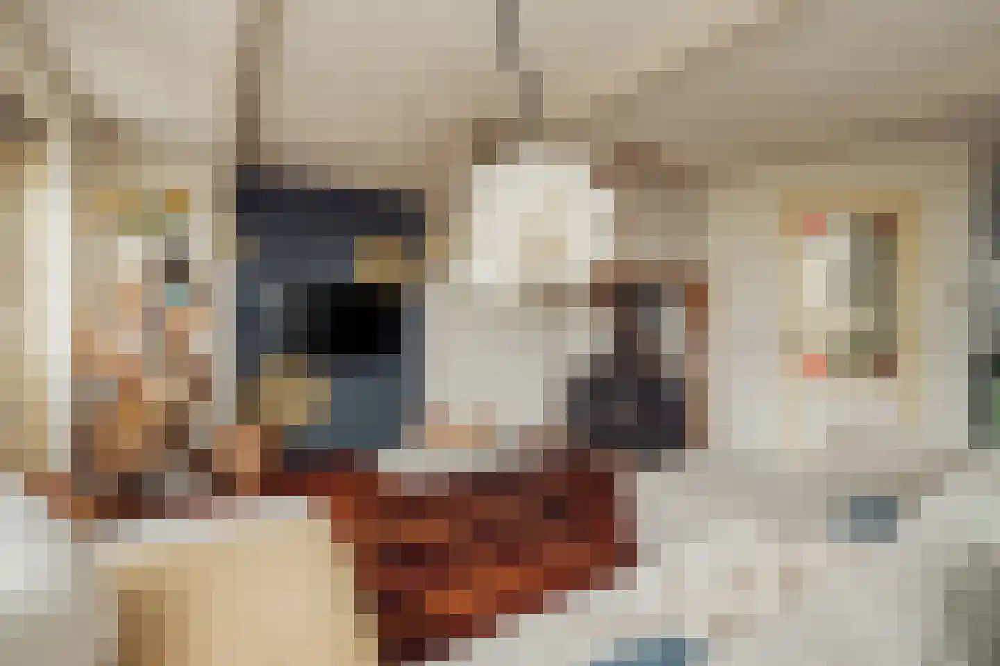 Het Rietland 1 Marken thumbnail 15