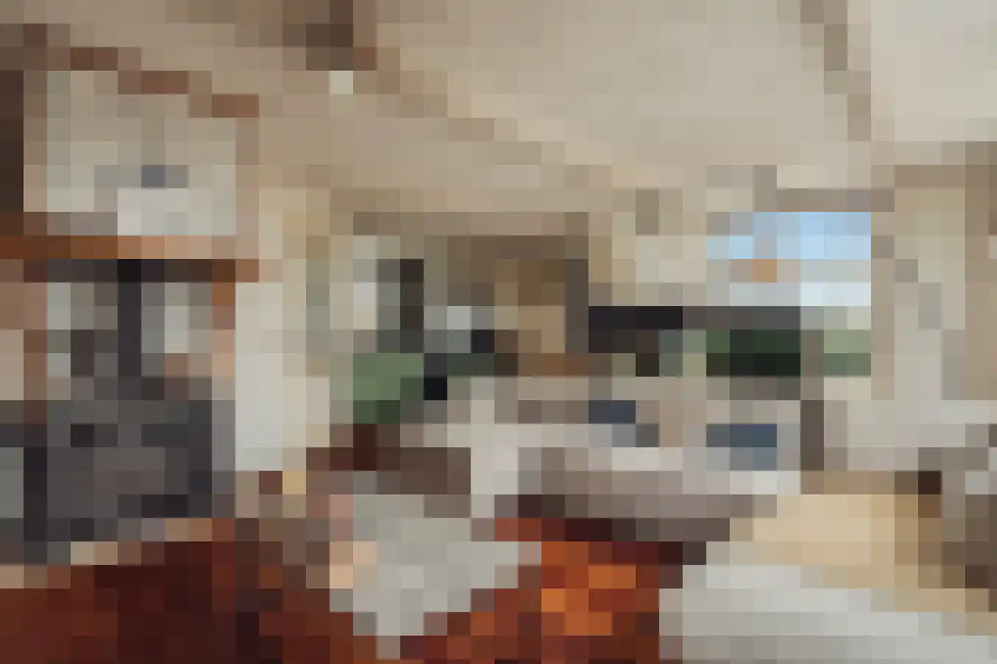 Het Rietland 1 Marken thumbnail 17
