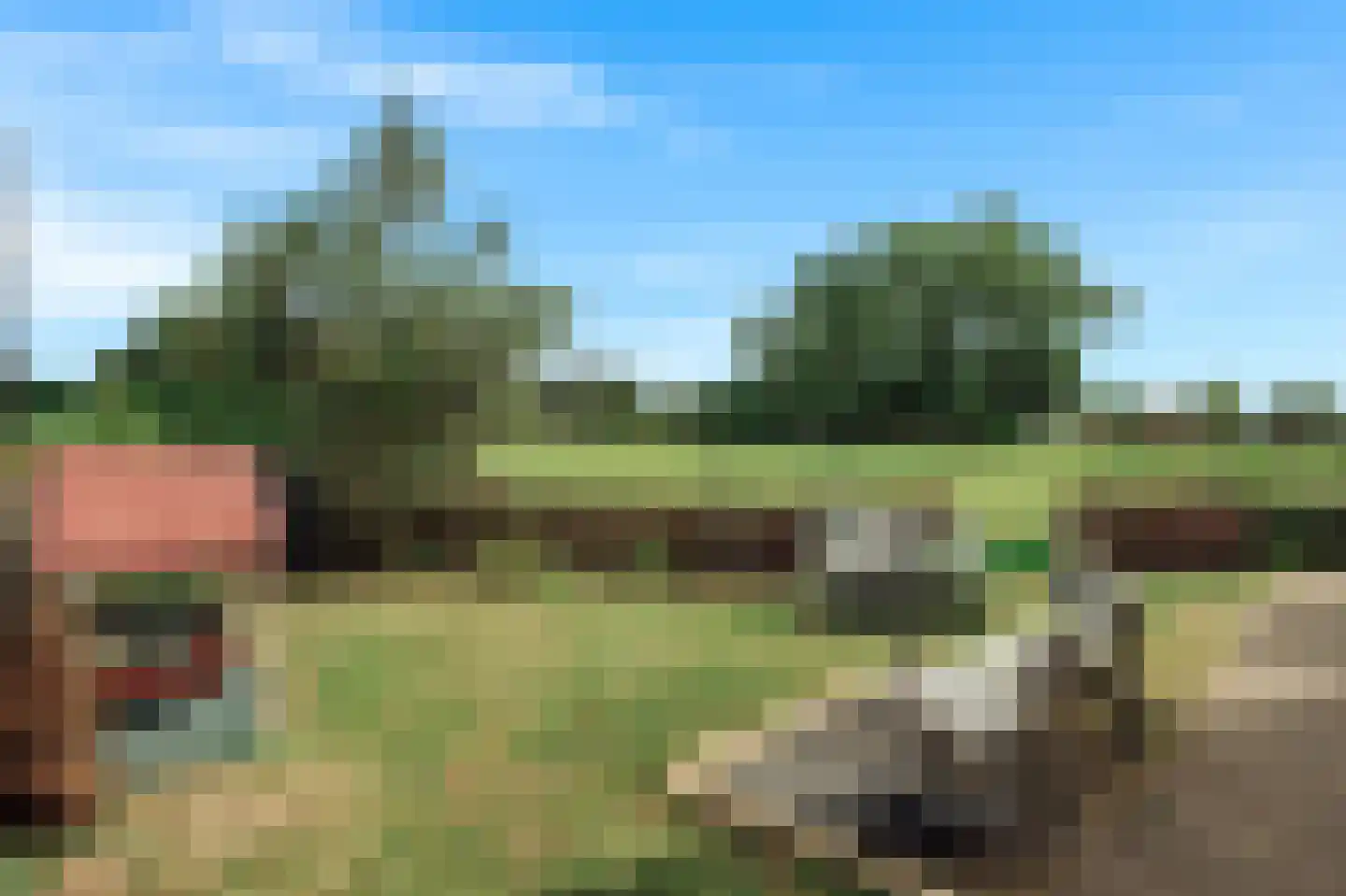 Het Rietland 1 Marken thumbnail 26
