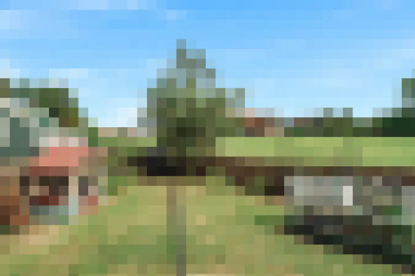 Het Rietland 1 Marken thumbnail 27
