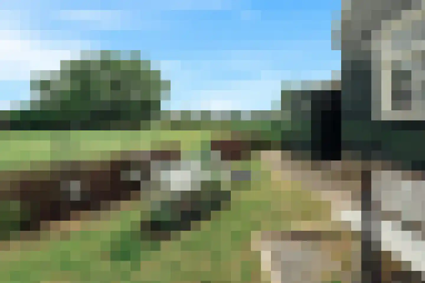 Het Rietland 1 Marken thumbnail 29