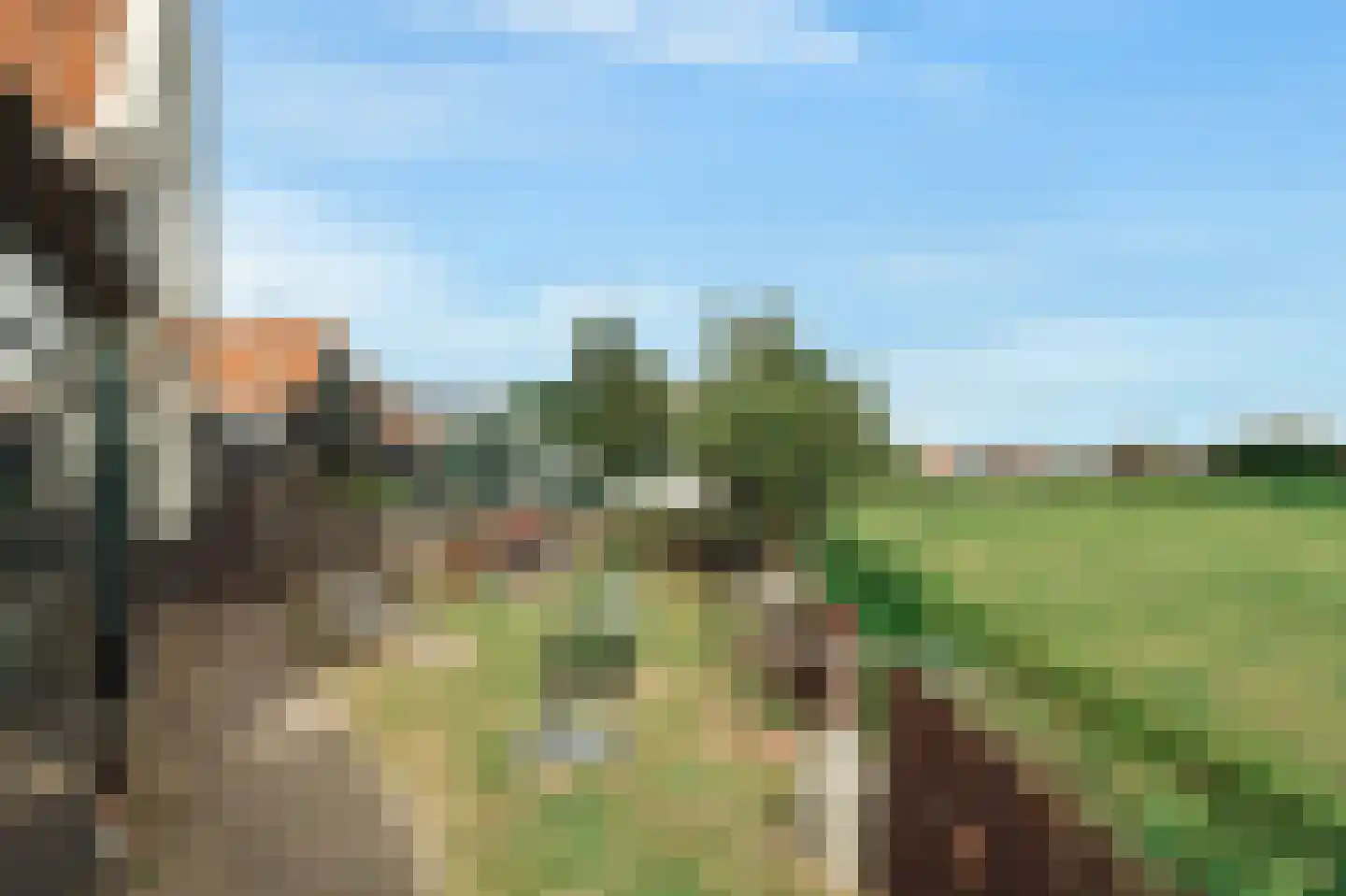 Het Rietland 1 Marken thumbnail 30