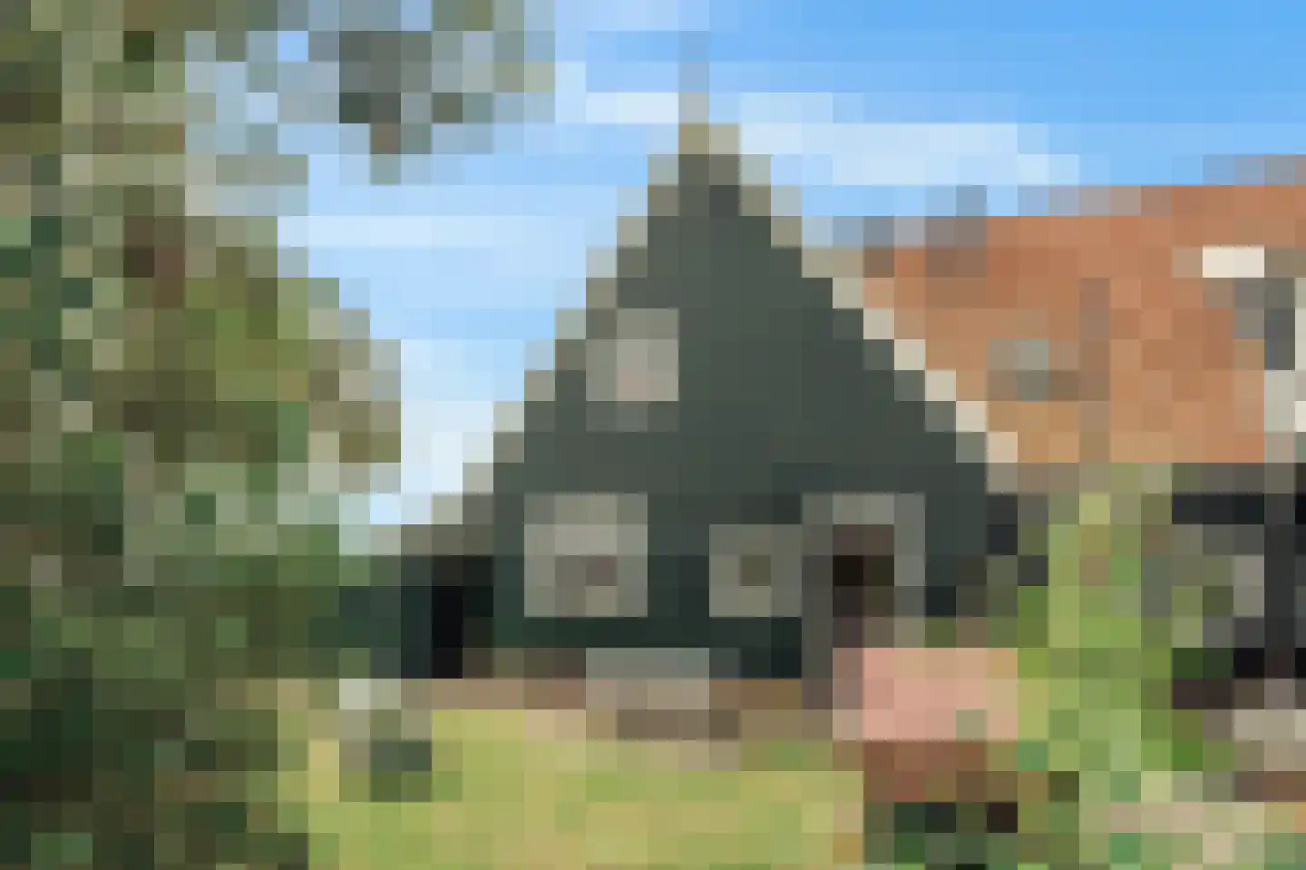 Het Rietland 1 Marken thumbnail 33