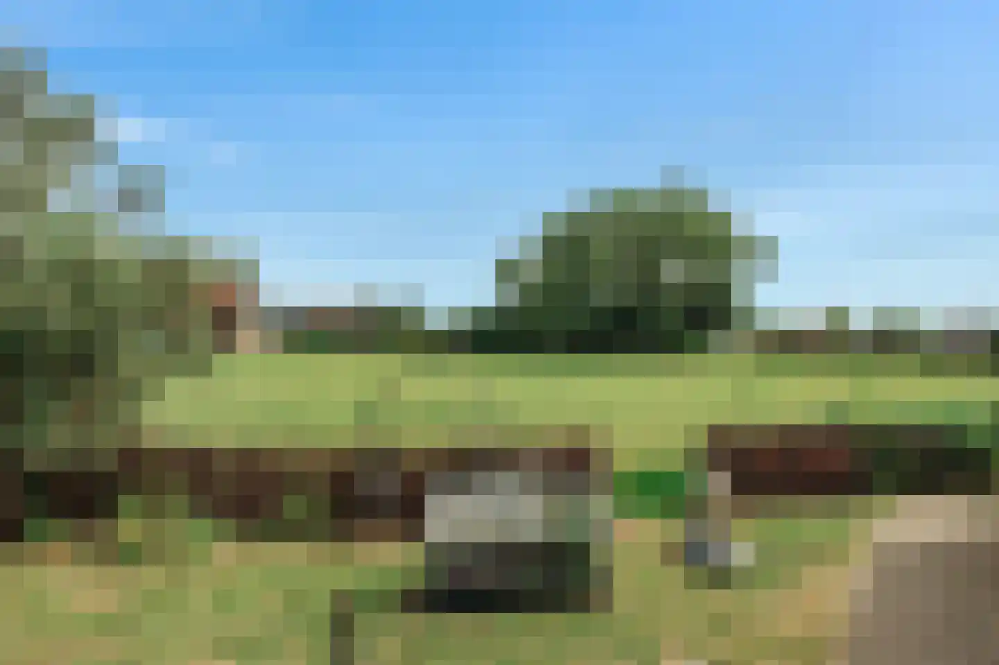 Het Rietland 1 Marken thumbnail 34