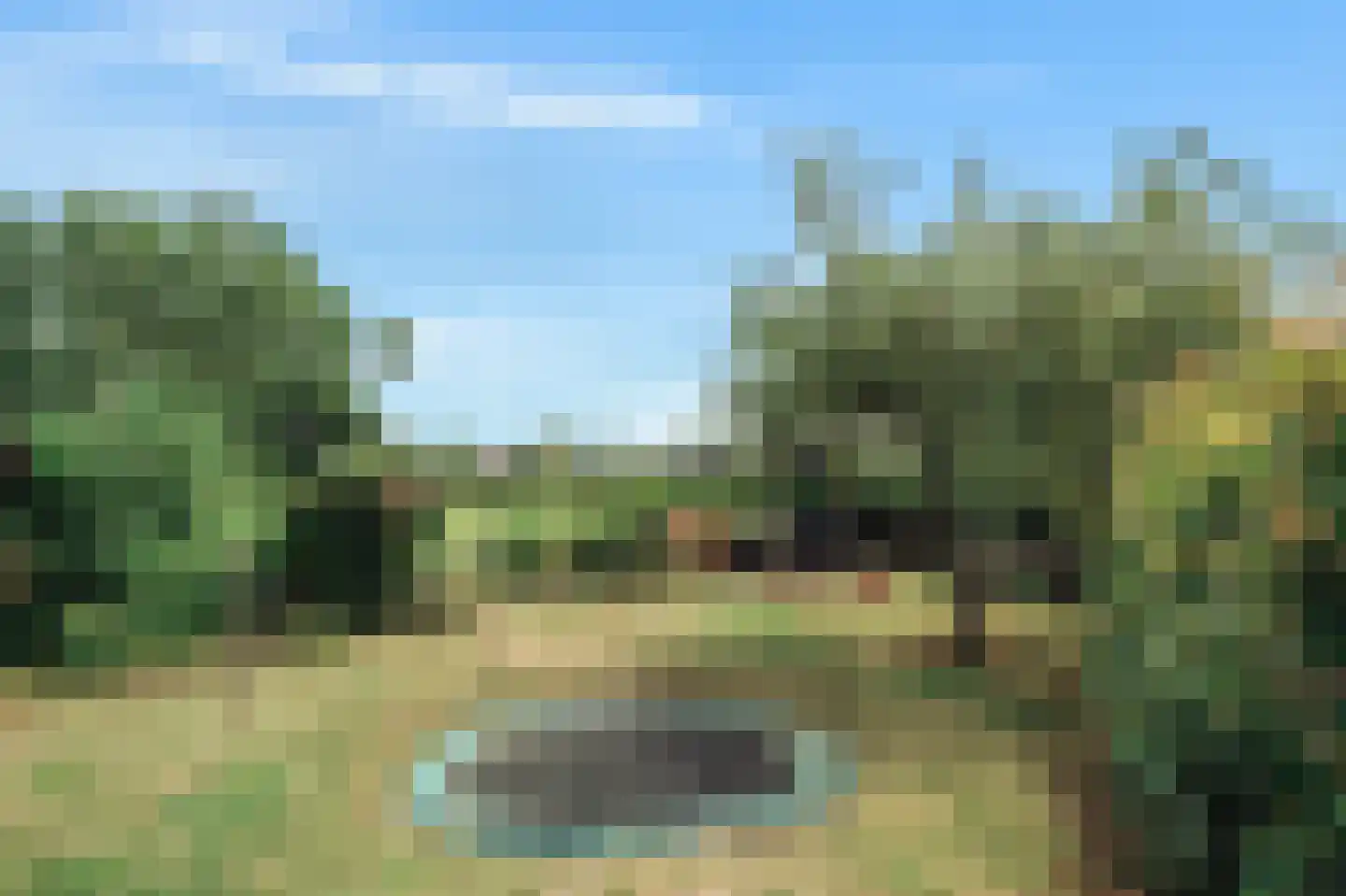 Het Rietland 1 Marken thumbnail 35