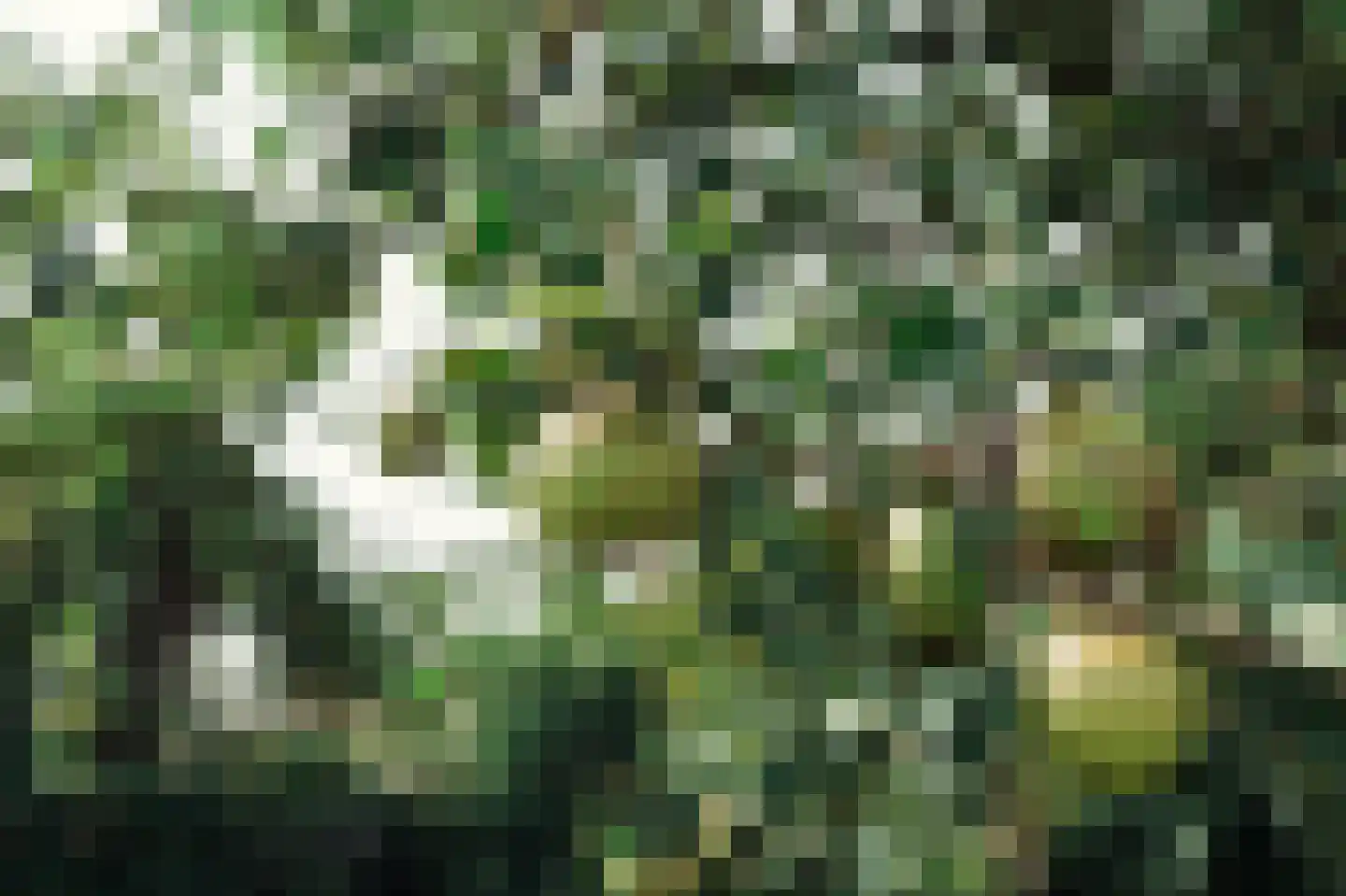 Het Rietland 1 Marken thumbnail 37