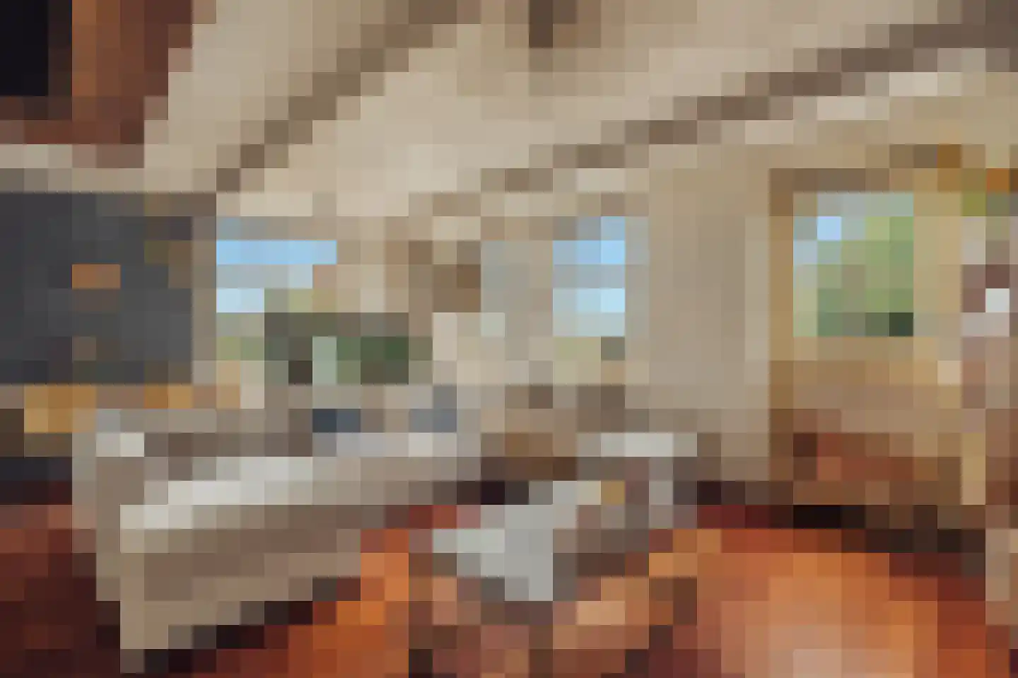 Het Rietland 1 Marken thumbnail 4