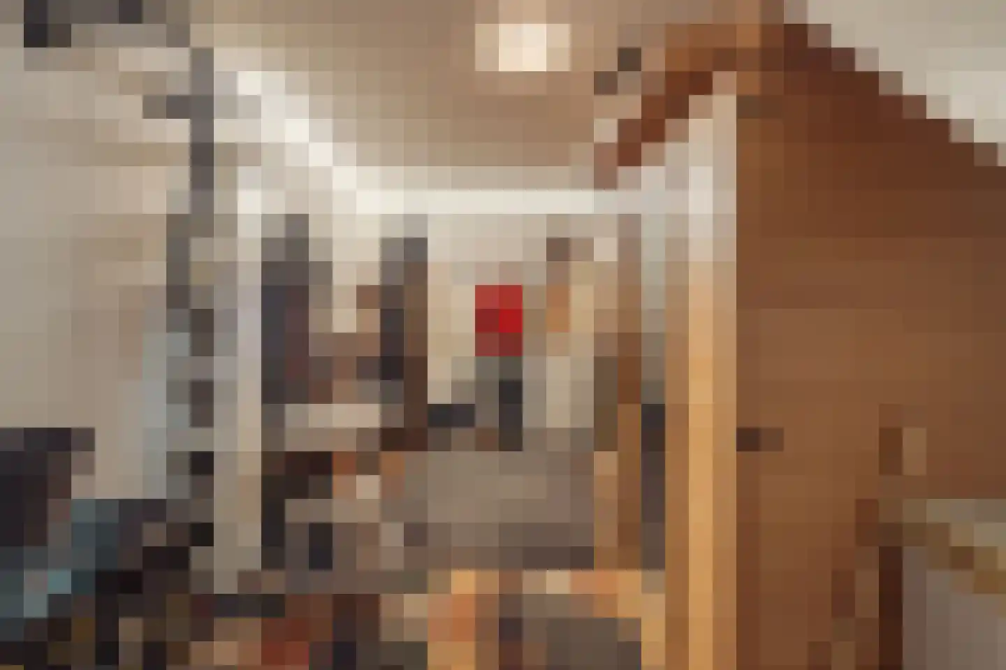 Het Rietland 1 Marken thumbnail 45
