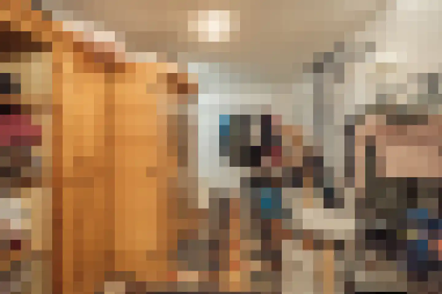 Het Rietland 1 Marken thumbnail 46