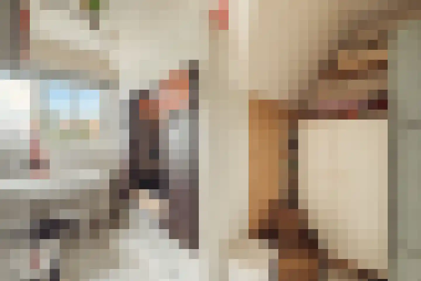 Het Rietland 1 Marken thumbnail 52