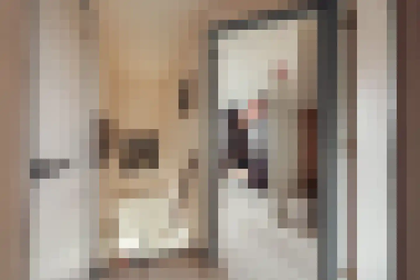 Het Rietland 1 Marken thumbnail 54
