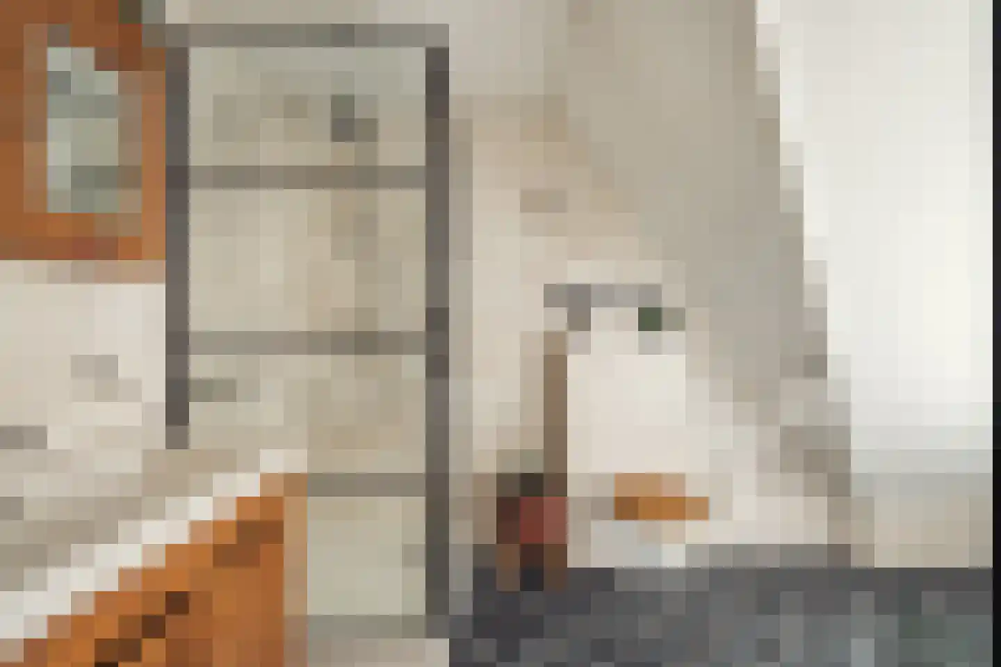 Het Rietland 1 Marken thumbnail 55
