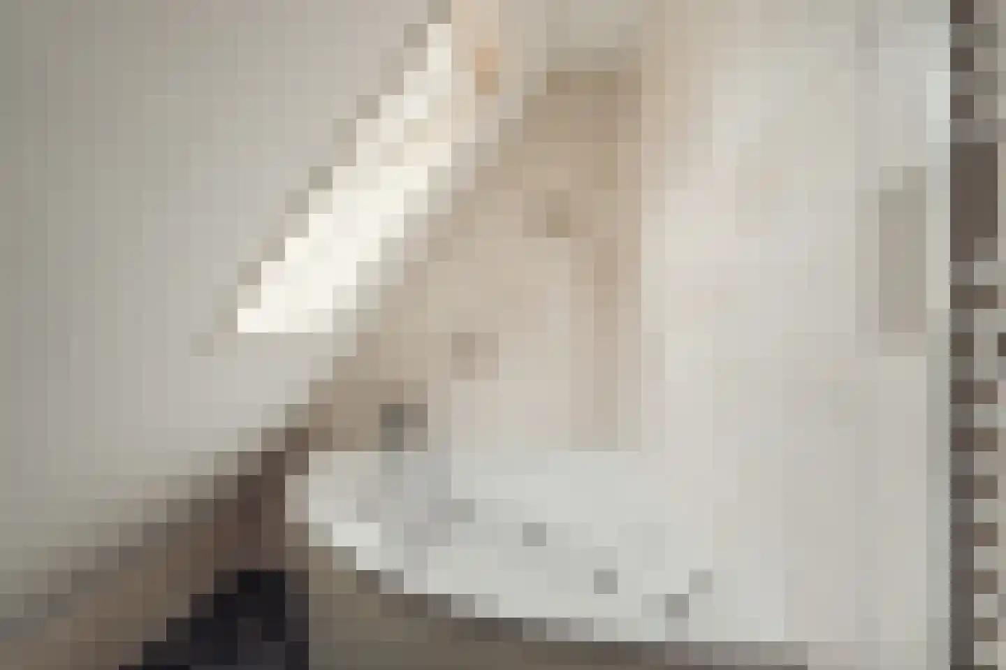 Het Rietland 1 Marken thumbnail 57