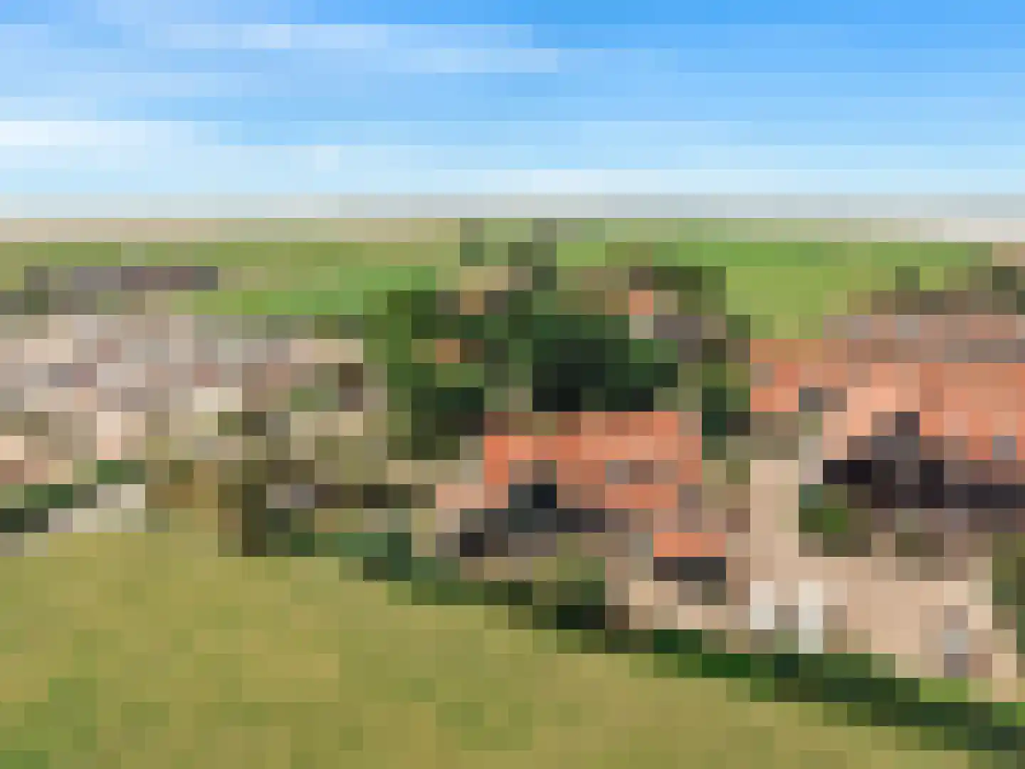Het Rietland 1 Marken thumbnail 65