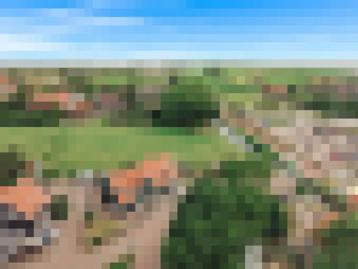 Het Rietland 1 Marken thumbnail 73