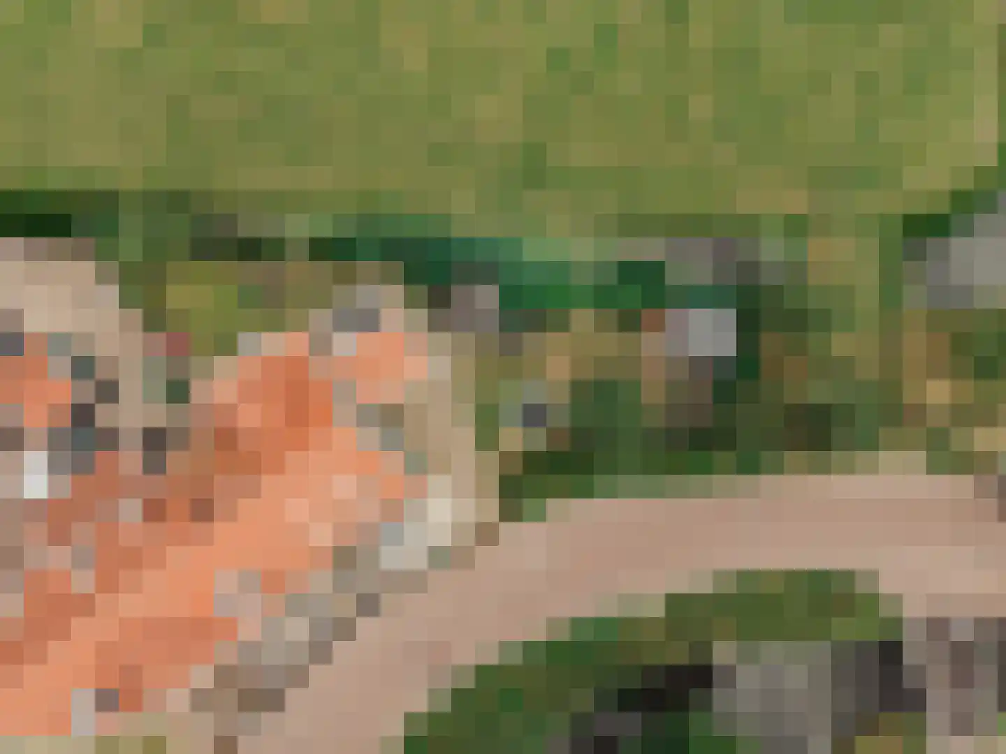 Het Rietland 1 Marken thumbnail 74
