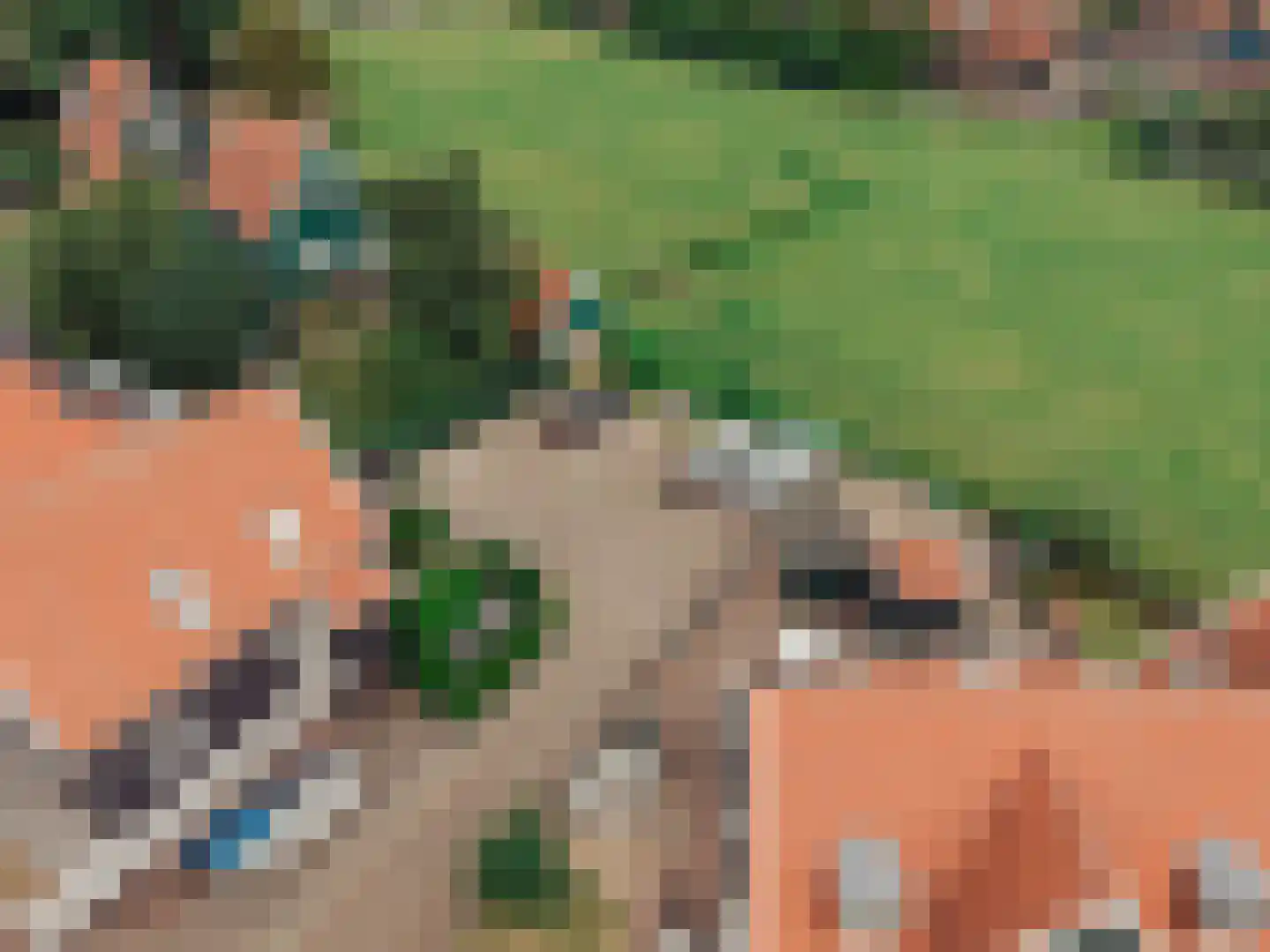 Het Rietland 1 Marken thumbnail 75