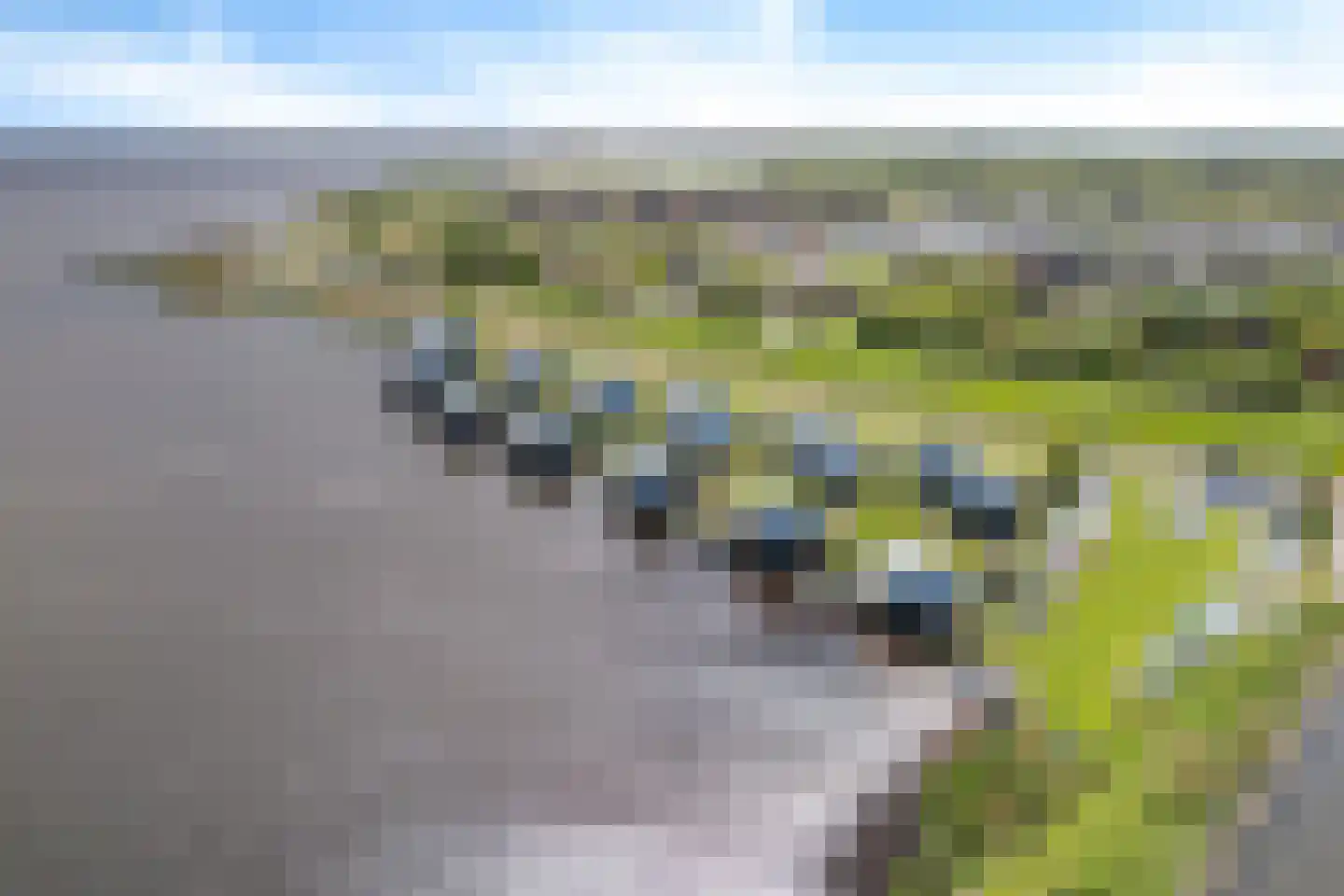 Het Rif 7 Eanjum thumbnail 35