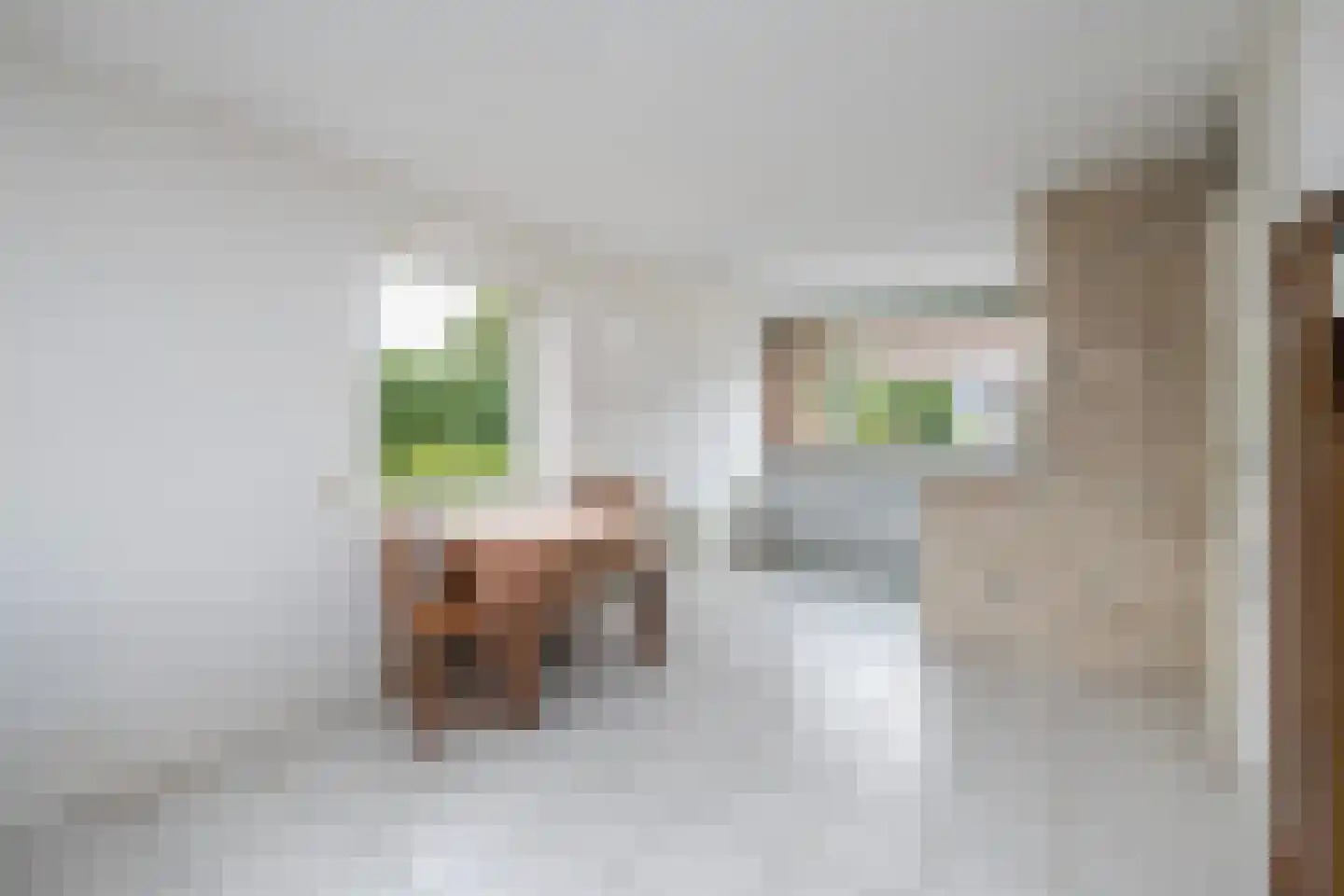 Het Rijpaard 20 Dronten thumbnail 13